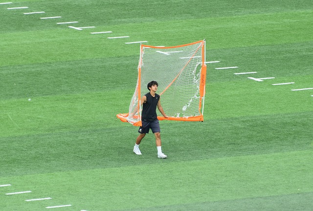 这无疑进一